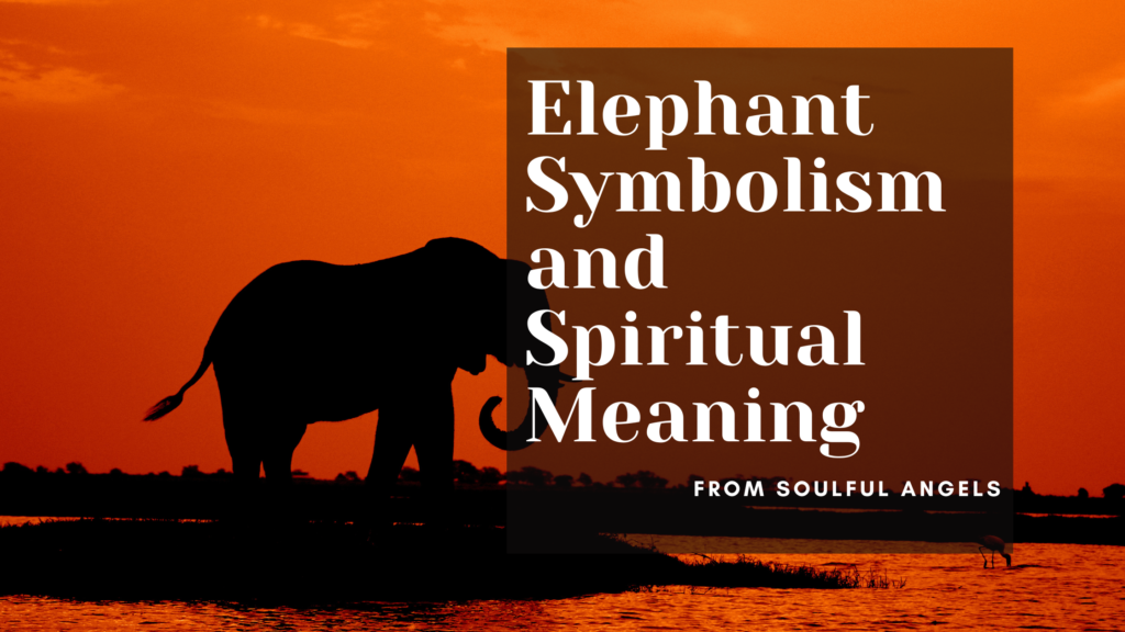 Elephant Symbolism and Spiritual Meaning