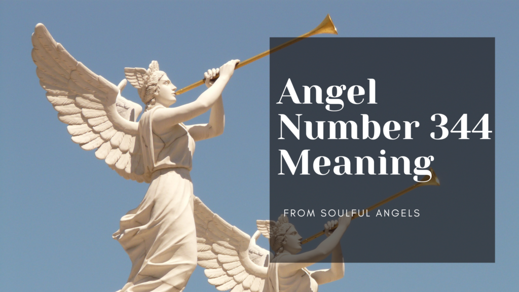 344 Angel Number (5)