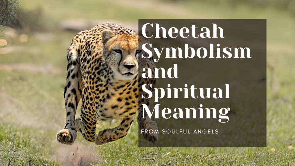 Cheetah Symbolism and Spiritual Meaning