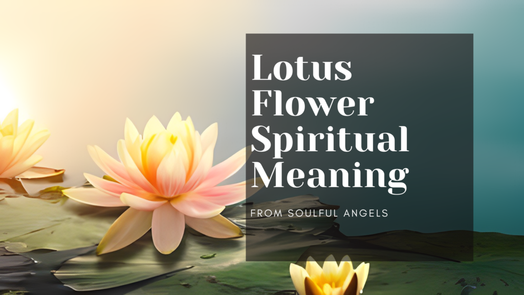 Lotus Flower Spiritual Meaning