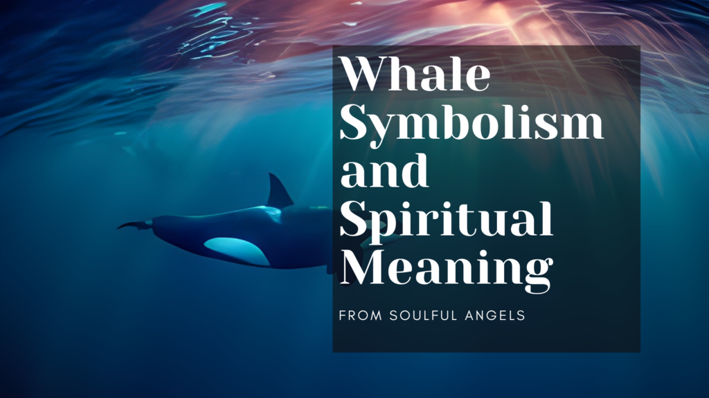 Whale Symbolism and Spiritual Meaning